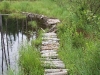 Mucky crossing between Five Ponds Trail junction and bridge crossing